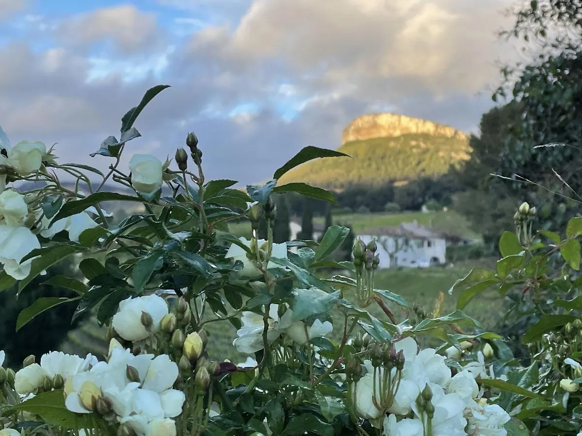 La Suite Du Clos De La Tour Cassis France